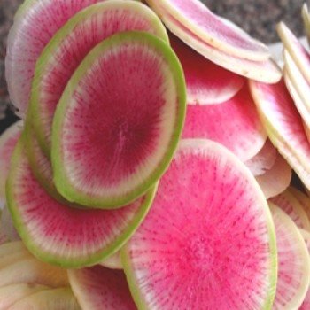 Radis 'Red Meat' (Radis Pastèque) Graines