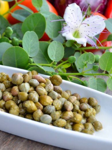 Capparis spinosa (Câprier) Graines