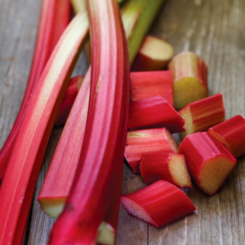 Rhubarbe Géante 'Victoria' Graines