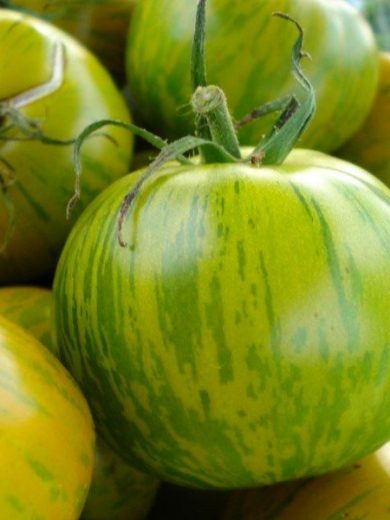 Tomate 'Green Zebra' Graines