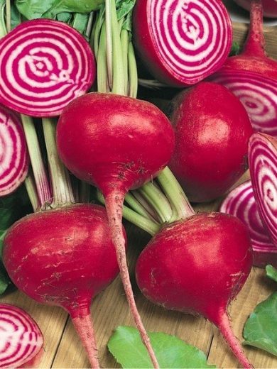 Betterave de Chioggia (Beta vulgaris 'Chioggia') Graines