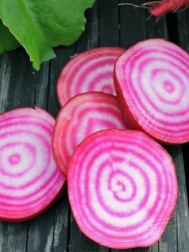Betterave de Chioggia (Beta vulgaris 'Chioggia') Graines