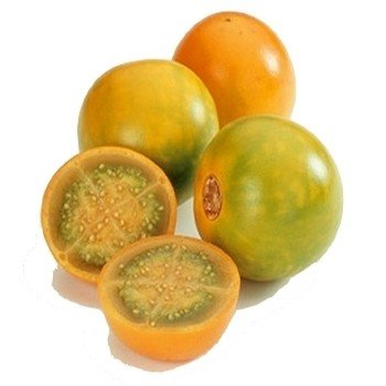 Solanum quitoense "Naranjilla" Graines