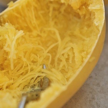 Courge Spaghetti (Cucurbita pepo) Graines