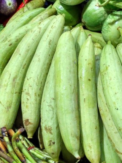 Courge Eponge (Luffa cylindrica) Graines