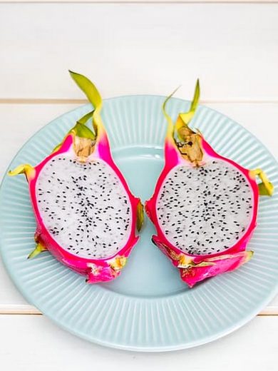 Fruit du Dragon (Hylocereus undatus) Plant