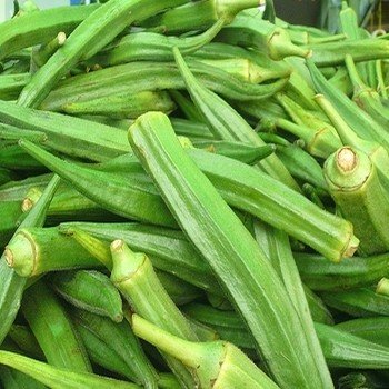 Okra Gombo (Abelmoschus esculentus) Graines