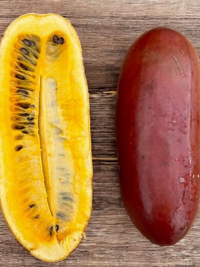 Calebasse Zombi, Melon-coton (Sicana odorifera "Cassabanana") Graines