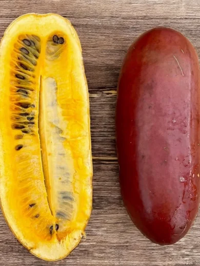 Calebasse Zombi, Melon-coton (Sicana odorifera "Cassabanana") Graines