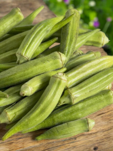 Okra Gombo (Abelmoschus esculentus) Graines