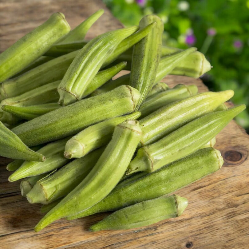 Okra Gombo (Abelmoschus esculentus) Graines