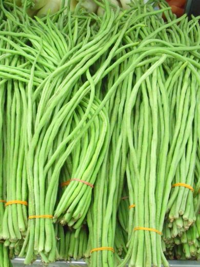 Haricot-Kilomètre (Vigna unguiculata) Graines