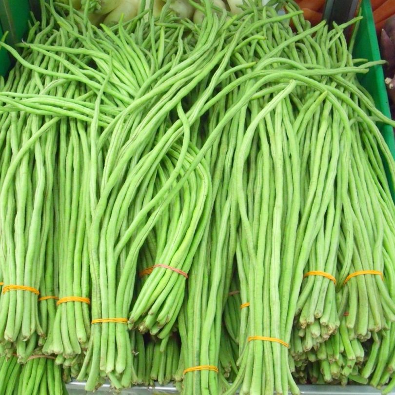 Haricot-Kilomètre (Vigna unguiculata) Graines
