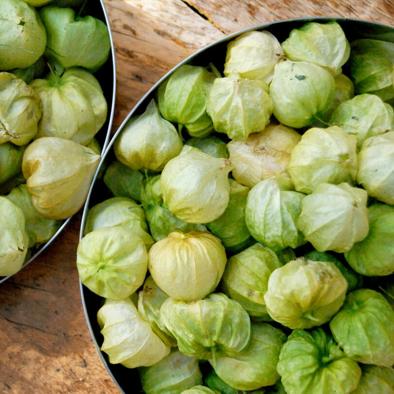 Physalis 'Toma Verde' (Physalis ixocarpa) Graines – Image 2