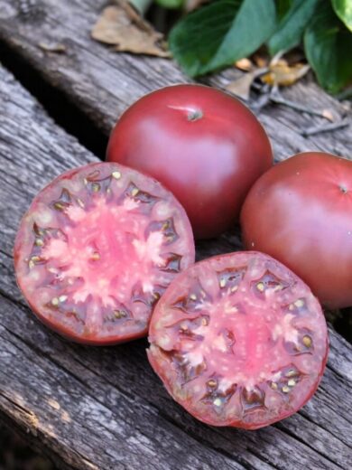 Tomate 'Noire de Crimée' (Variété ancienne) Graines