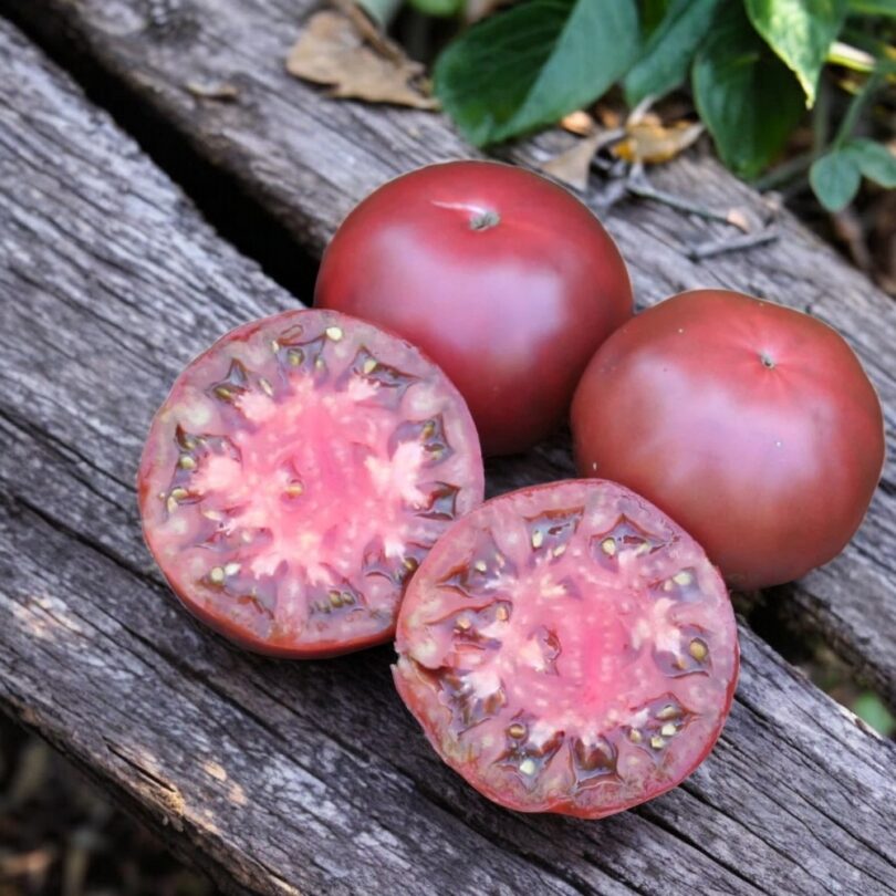 Tomate 'Noire de Crimée' (Variété ancienne) Graines