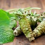 Wasabi Japonais (Wasabia japonica) Plant