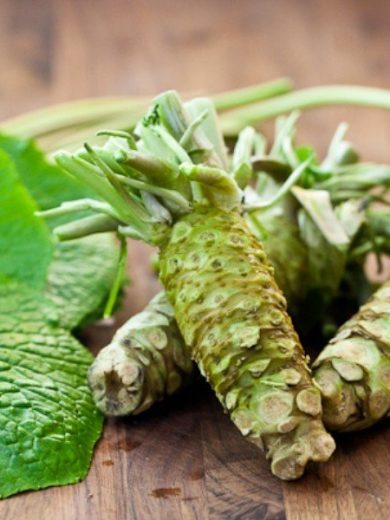 Wasabi Japonais (Wasabia japonica) Plant