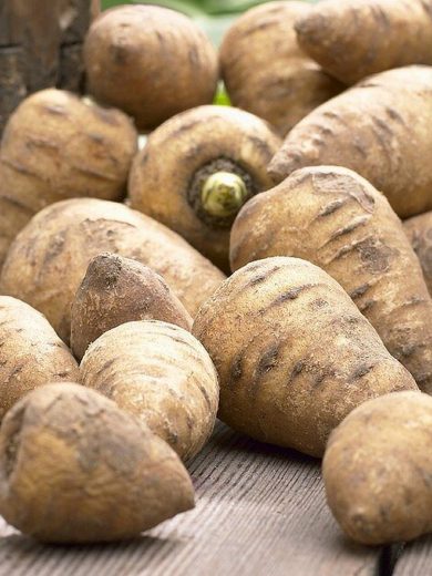 Légumes anciens (bio) - Kit cadeau de graines avec 3 raretés végétales  spéciales : : Jardin