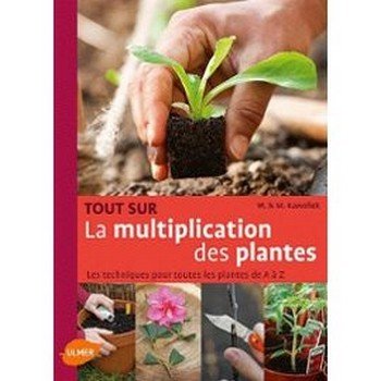 Tout sur la multiplication des plantes