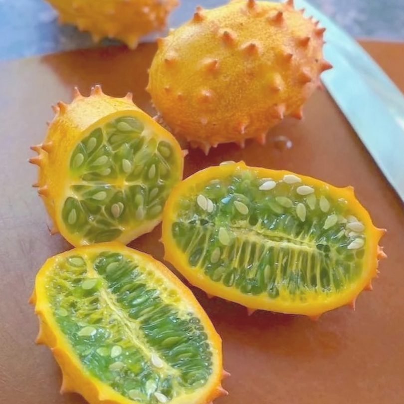 Concombre Kiwano (Cucumis metulifer) Graines – Image 2