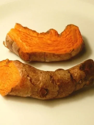 Curcuma, Safran des Indes (Curcuma longa) Plant