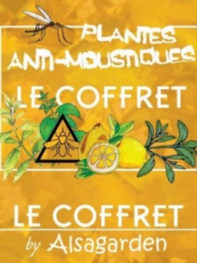 Coffret Plantes anti-moustiques (6 sachets de graines)