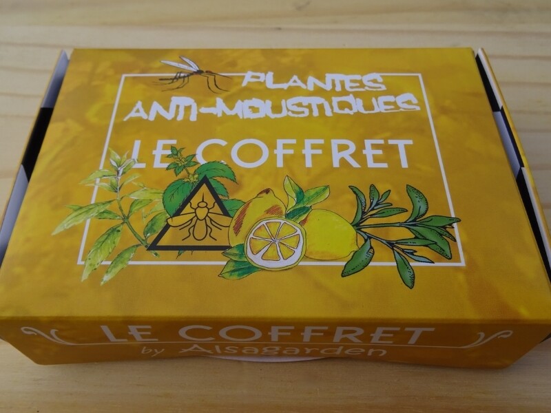 coffret graines plantes anti-moustique