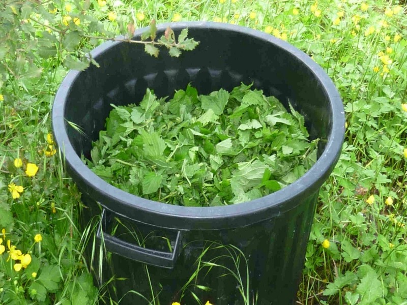 Gel au balcon, plantes en danger - Jardins de France