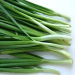 Ciboulette Chinoise (Allium tuberosum) Graines