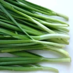 Ciboulette Chinoise (Allium tuberosum) Graines