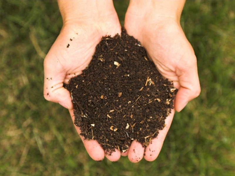 Compost Vos déchets valent de l’or !