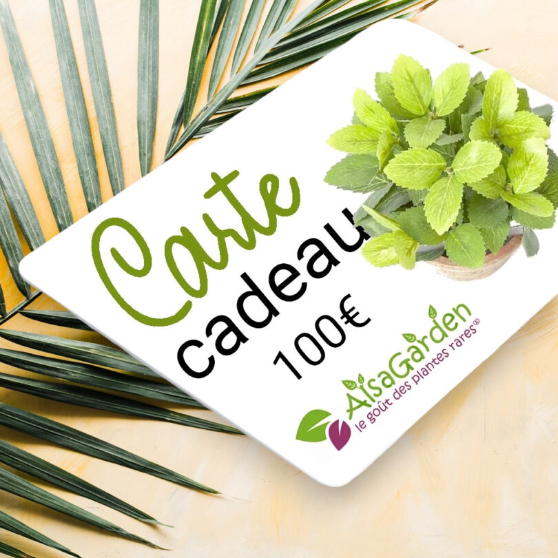 Carte Cadeau Alsagarden 100€