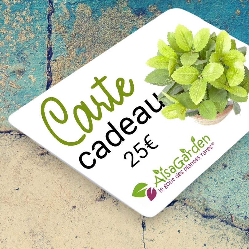 Carte Cadeau Alsagarden 25€