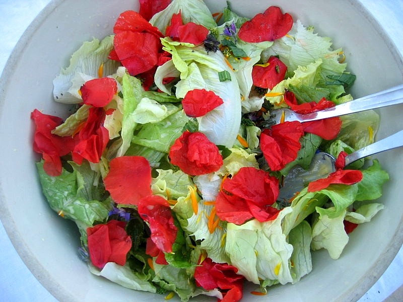 Salade de pétales de coquelicots