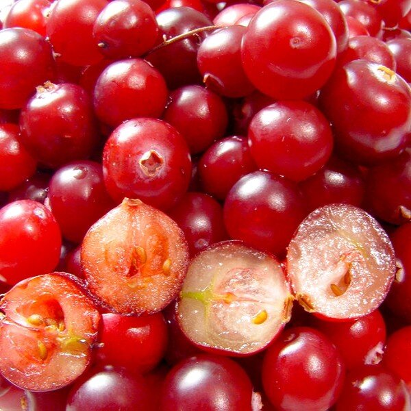 Cranberry (canneberge)