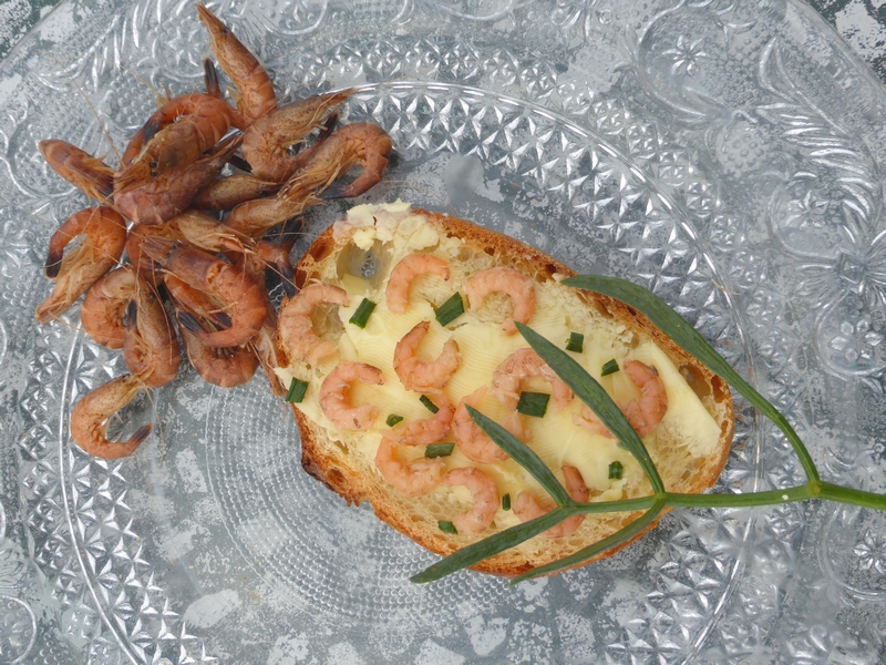 Criste marine - tartine crevettes beurre salé (2)