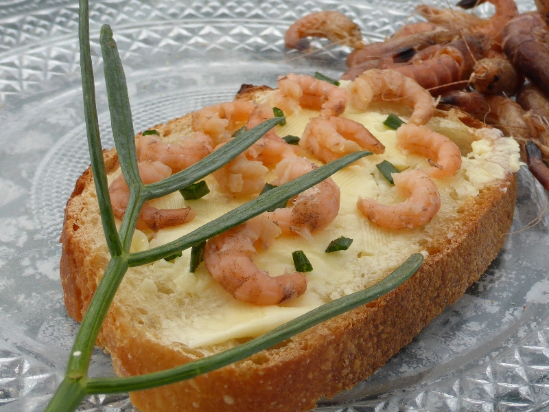 Criste marine - tartine crevettes beurre salé (3)