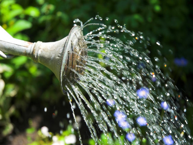 arrosage du jardin