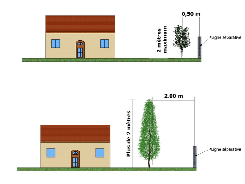 distance-des-plantations