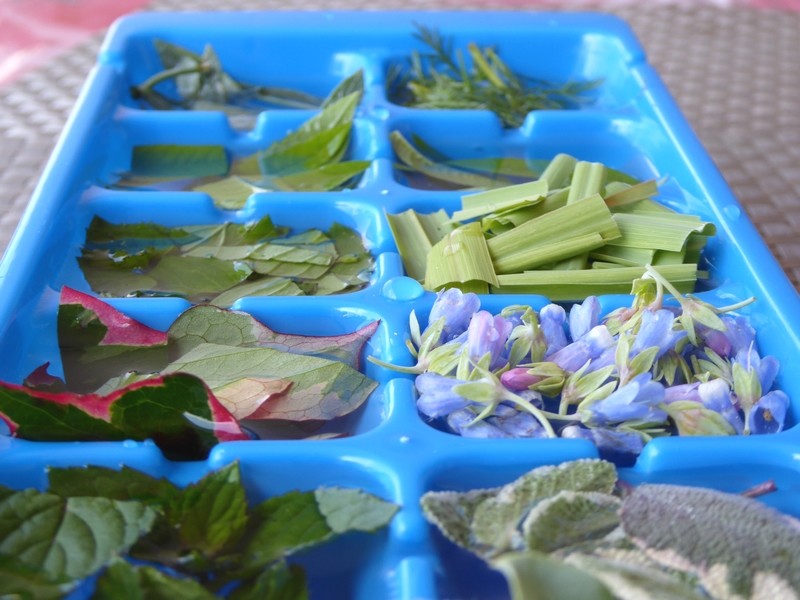 Bien utiliser les HERBES AROMATIQUES pour un MAXIMUM de GOÛT