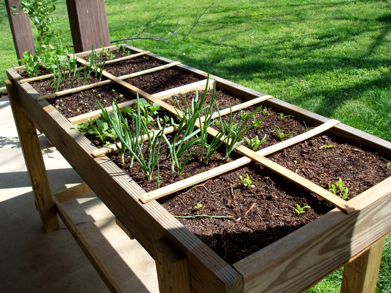 jardinage santé