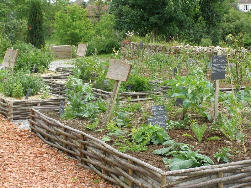 Créer un jardin de simples : aromatiques, médicinales, plantes utiles