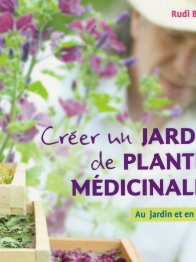 Créer un jardin de plantes médicinales