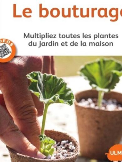 Bouturage. Multipliez toutes les plantes du jardin