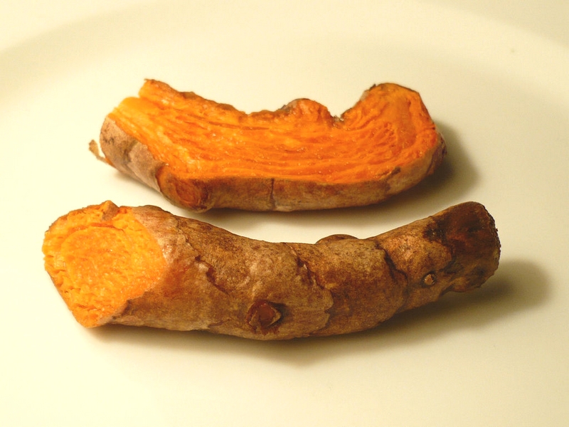 Curcuma, vente plantes (1)