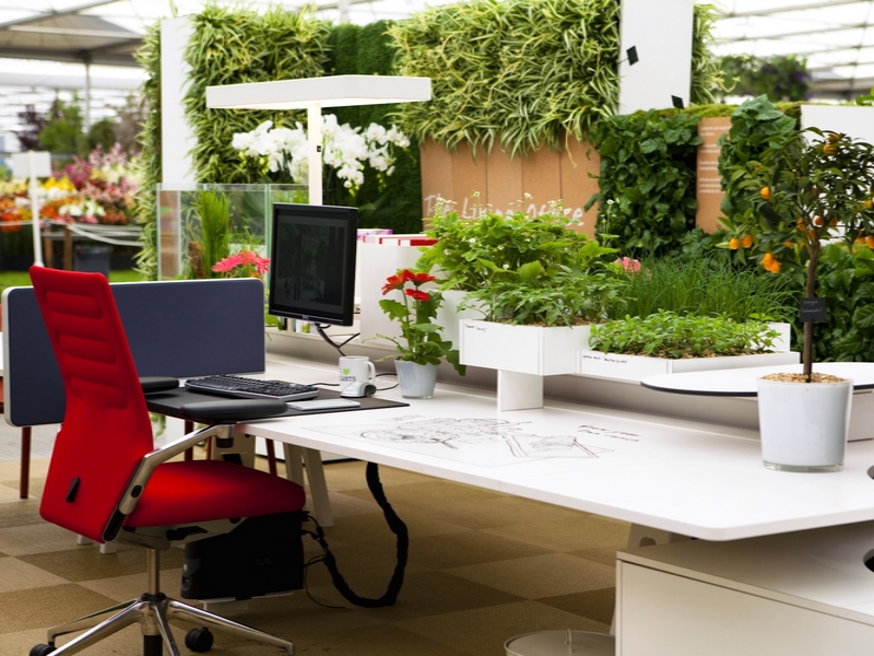 Les plantes au service de la productivité (1)