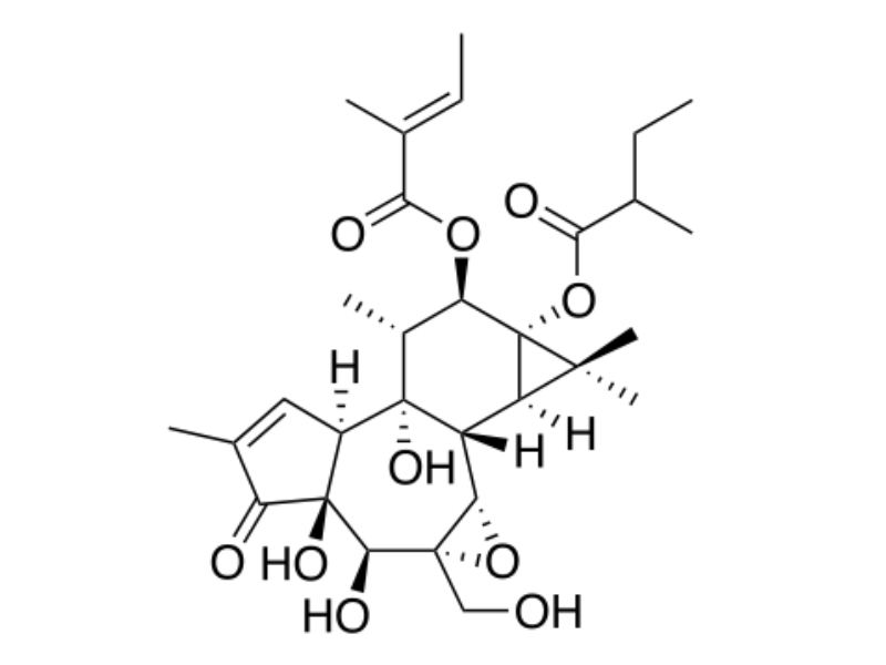 EBC-46