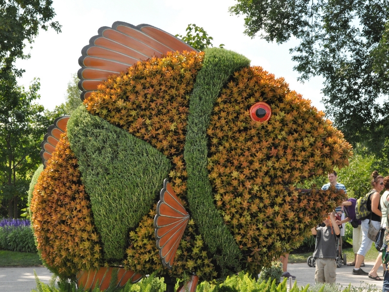 Mosaïculture - Alsagarden, Plantes Rares (1)