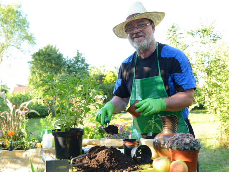 quel jardinier etes vous